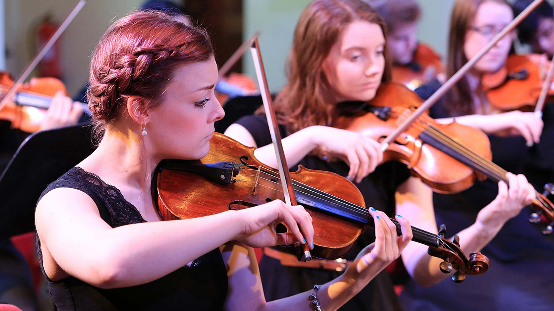 A group of violinists playing their instruments