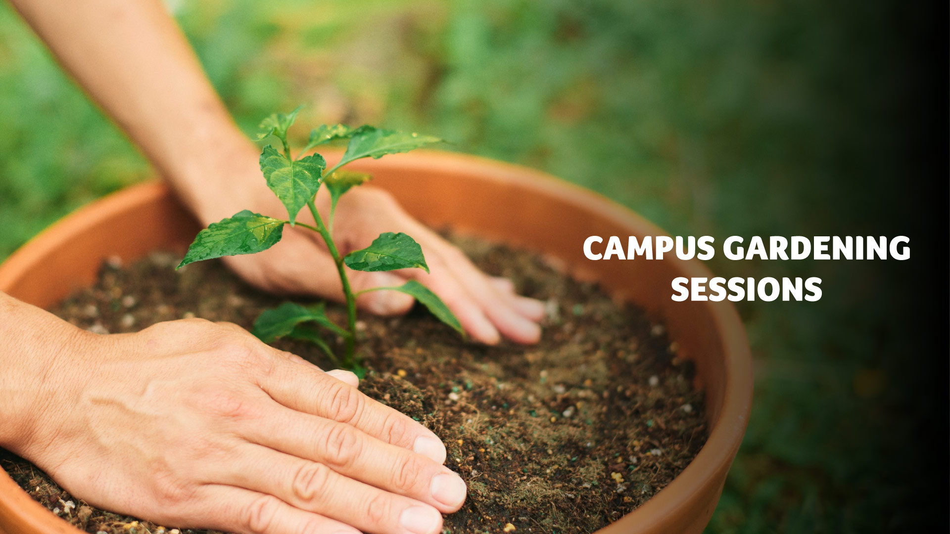 Campus Gardening Sessions