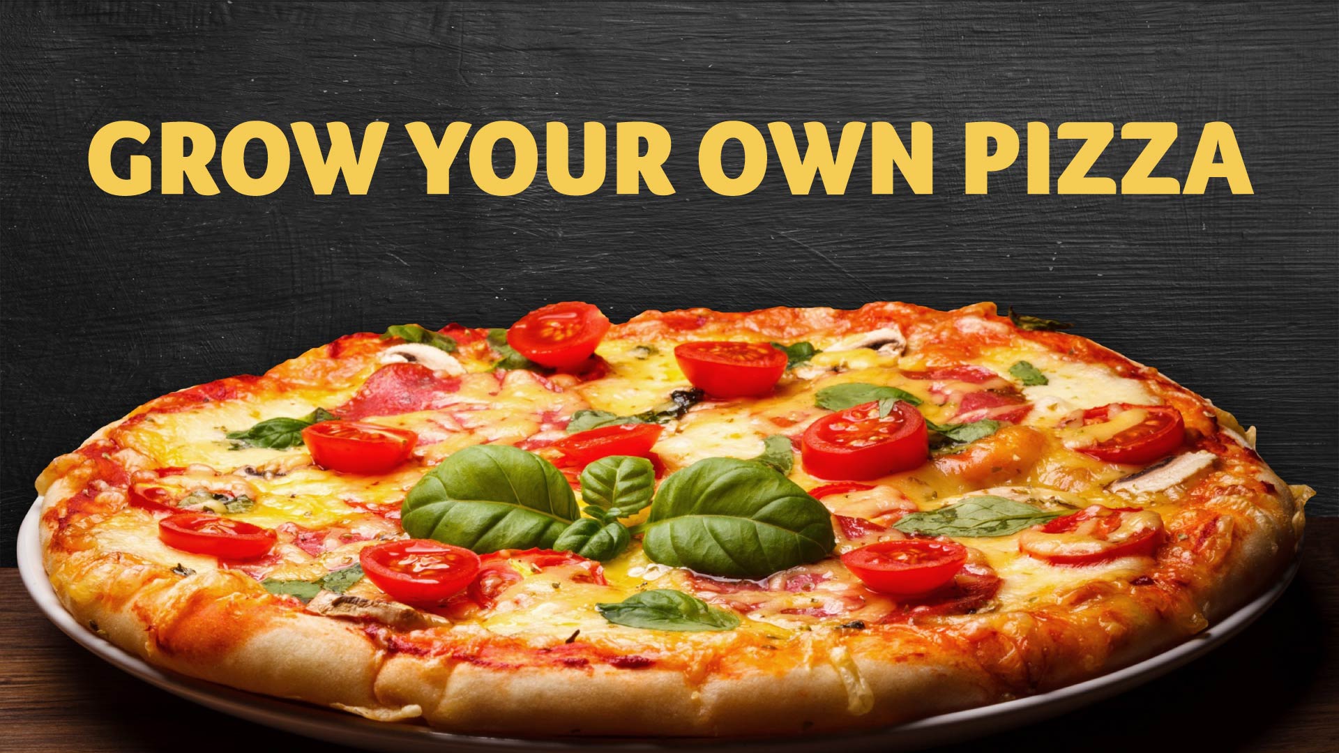 Photo of a pizza with the words 'grow your own pizza'