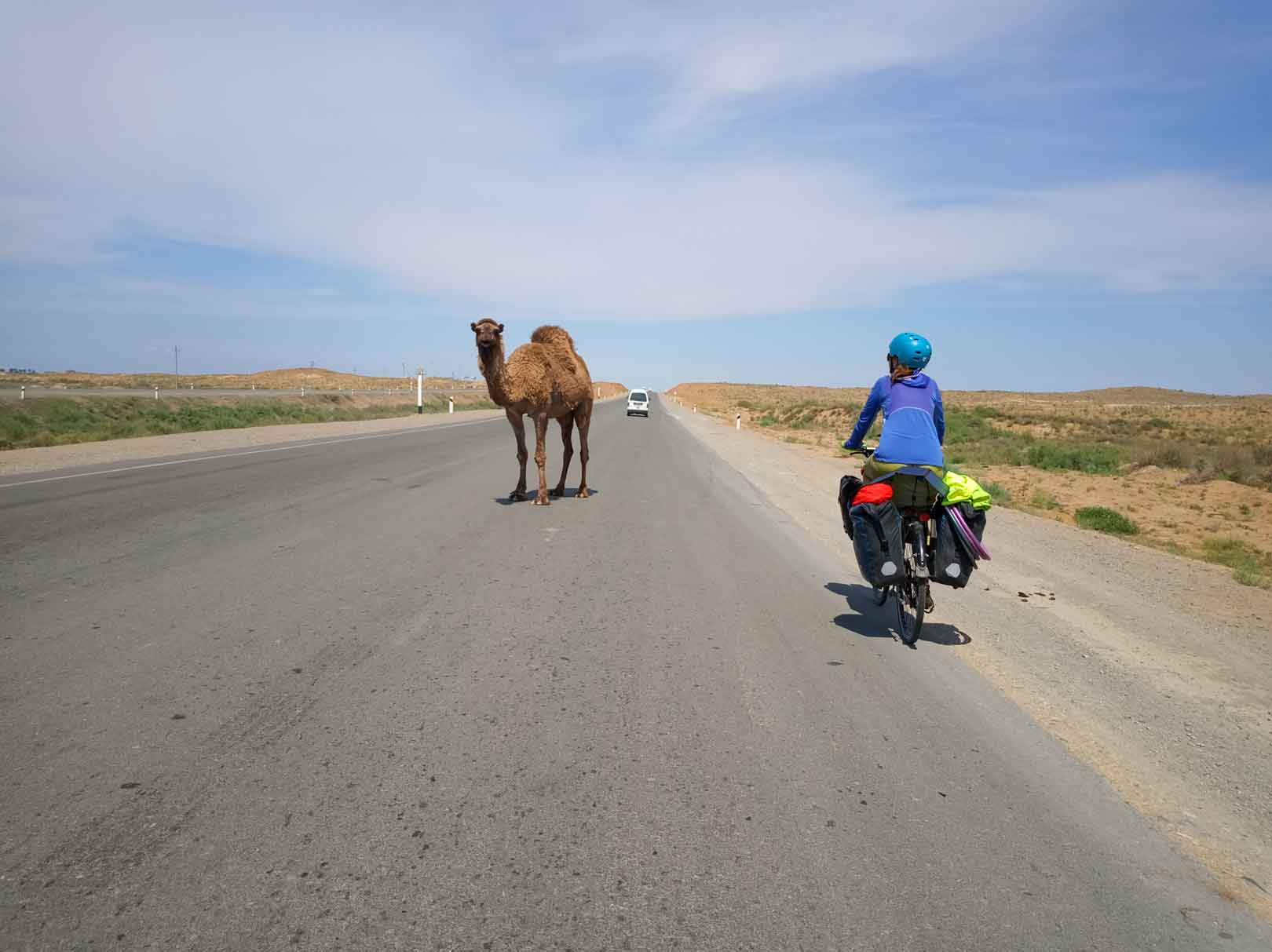 Ellie cycling past a camel