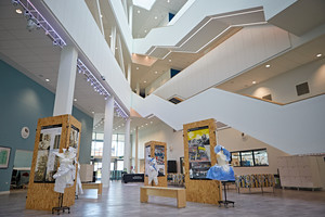 Barbara Hepworth Building atrium