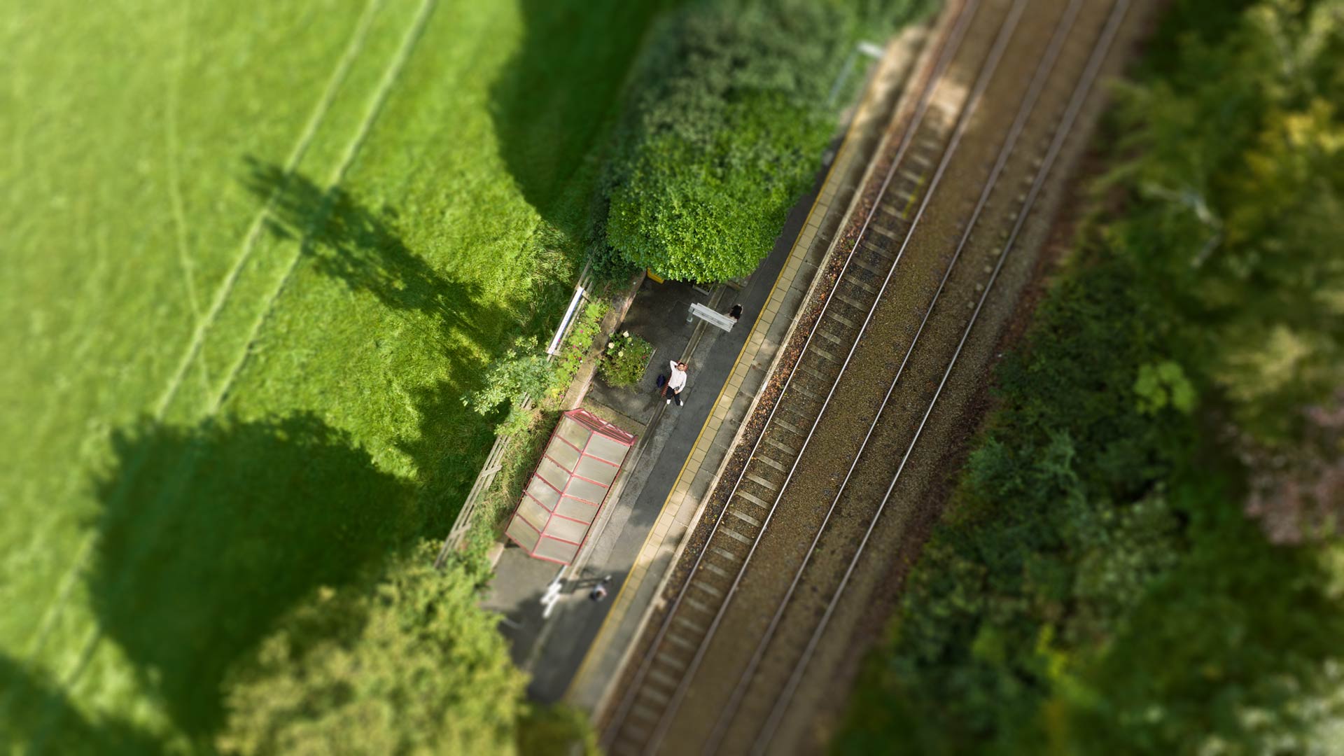 Hero image