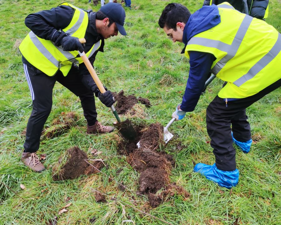 Tree Planting-Digging a big hole