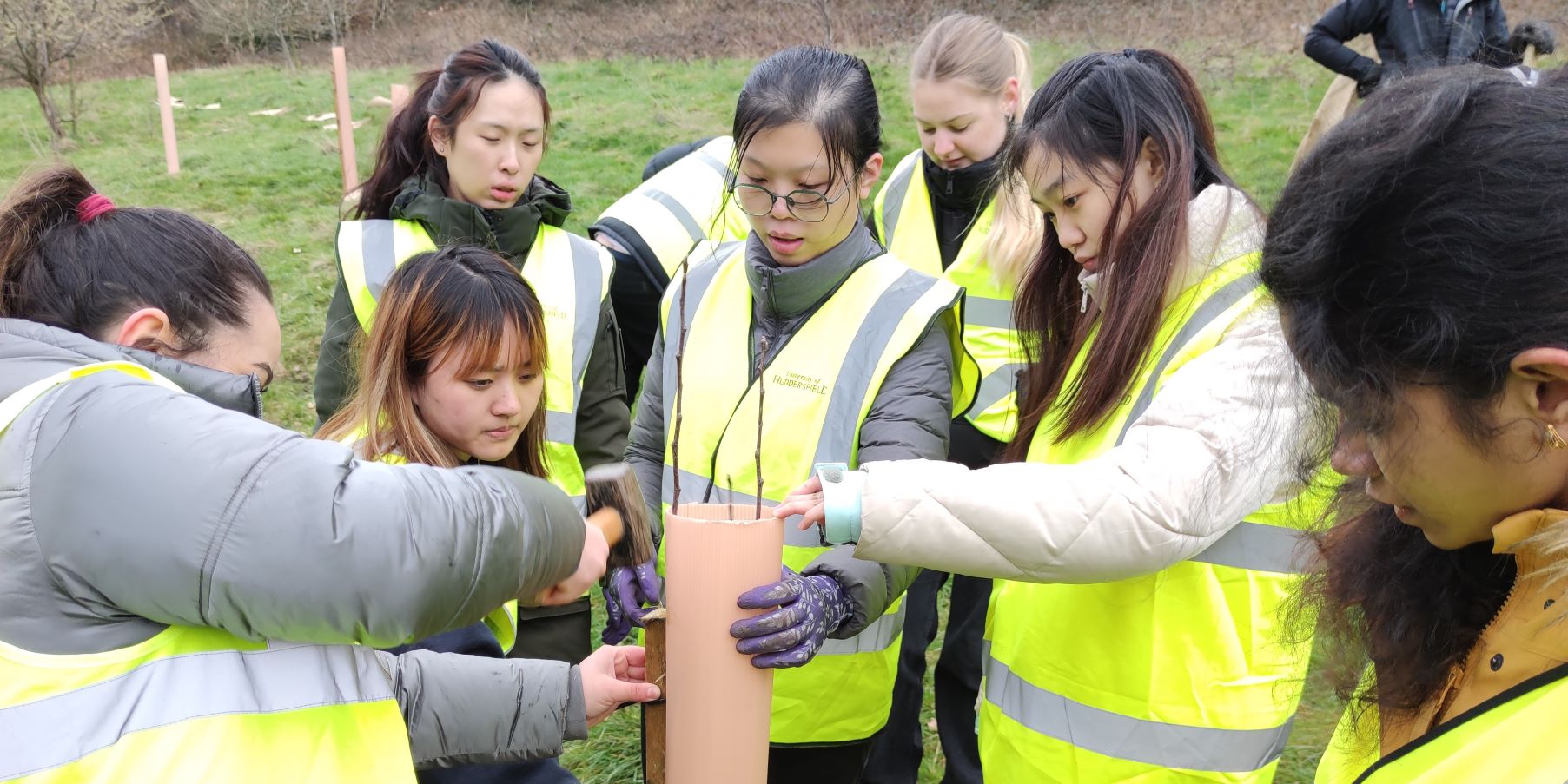 Tree planting-tubes-contact us banner