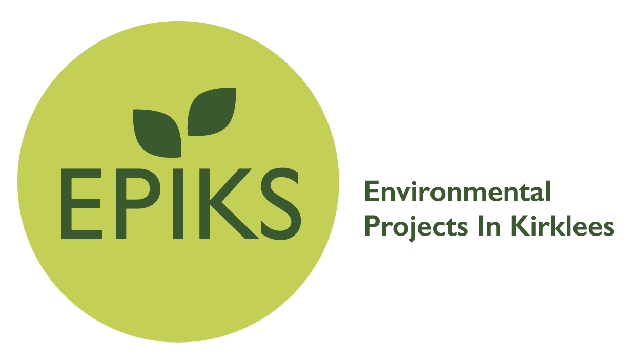 EPIKS Logo