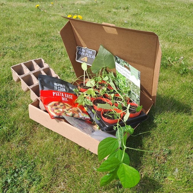 Grow your own pizza kit