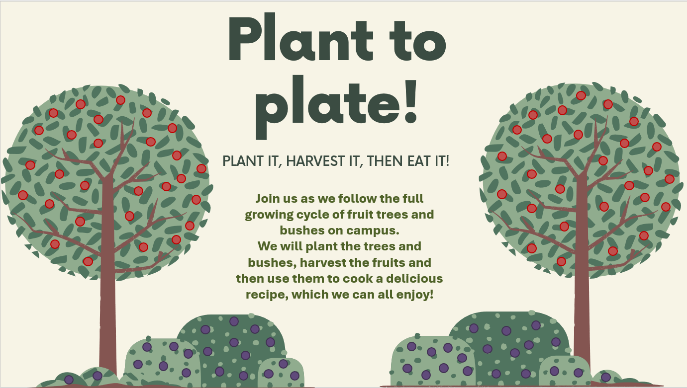 Plant to plate!