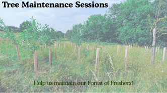 Tree Maintenance-Web page.png