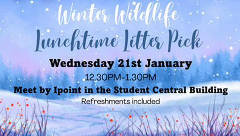 Winter Wildlife Litter Pick