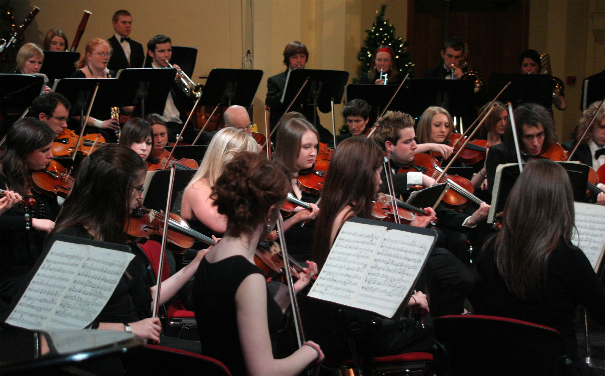 Orchestra