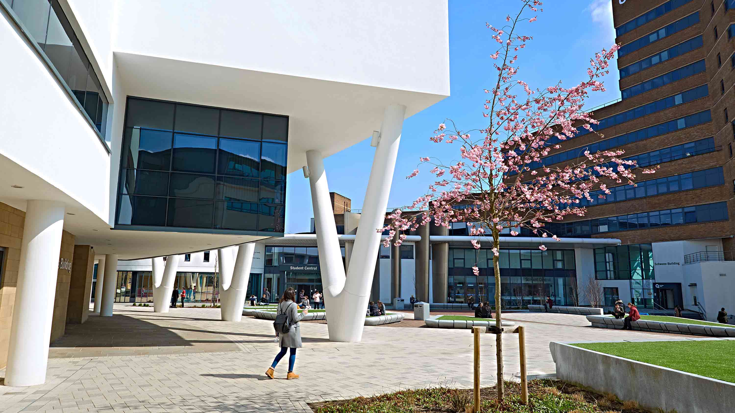 campus spring header 2