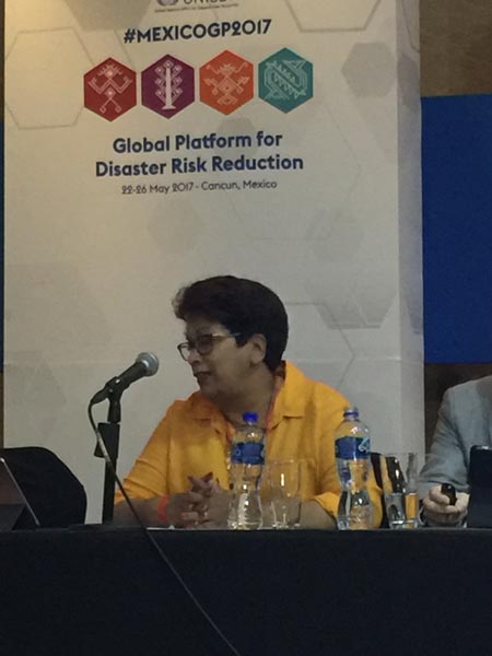 Disaster risk reduction - Prof Dilanthi Amaratunga moderating a session