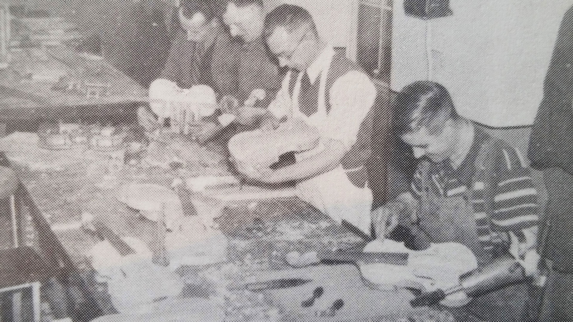 People working at Remploy, disabled person's employment corporation