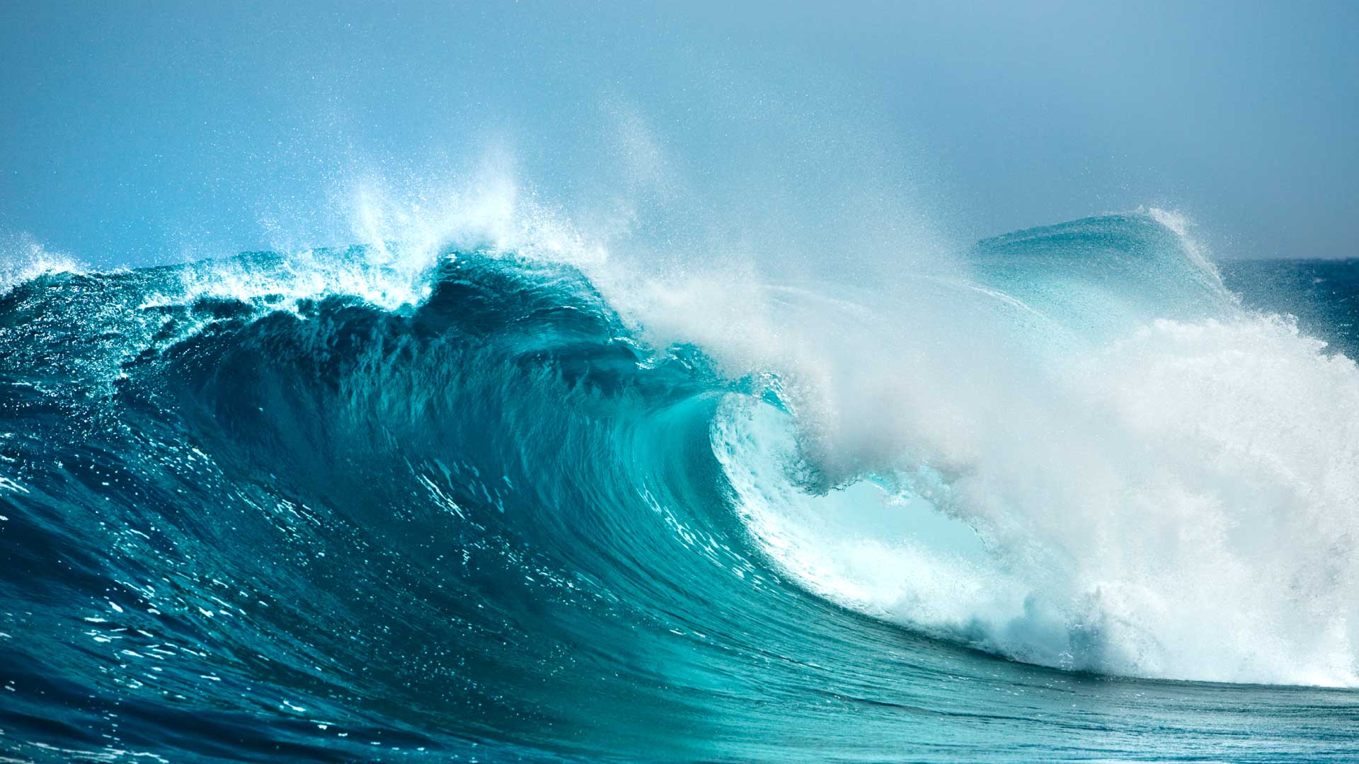 the ocean