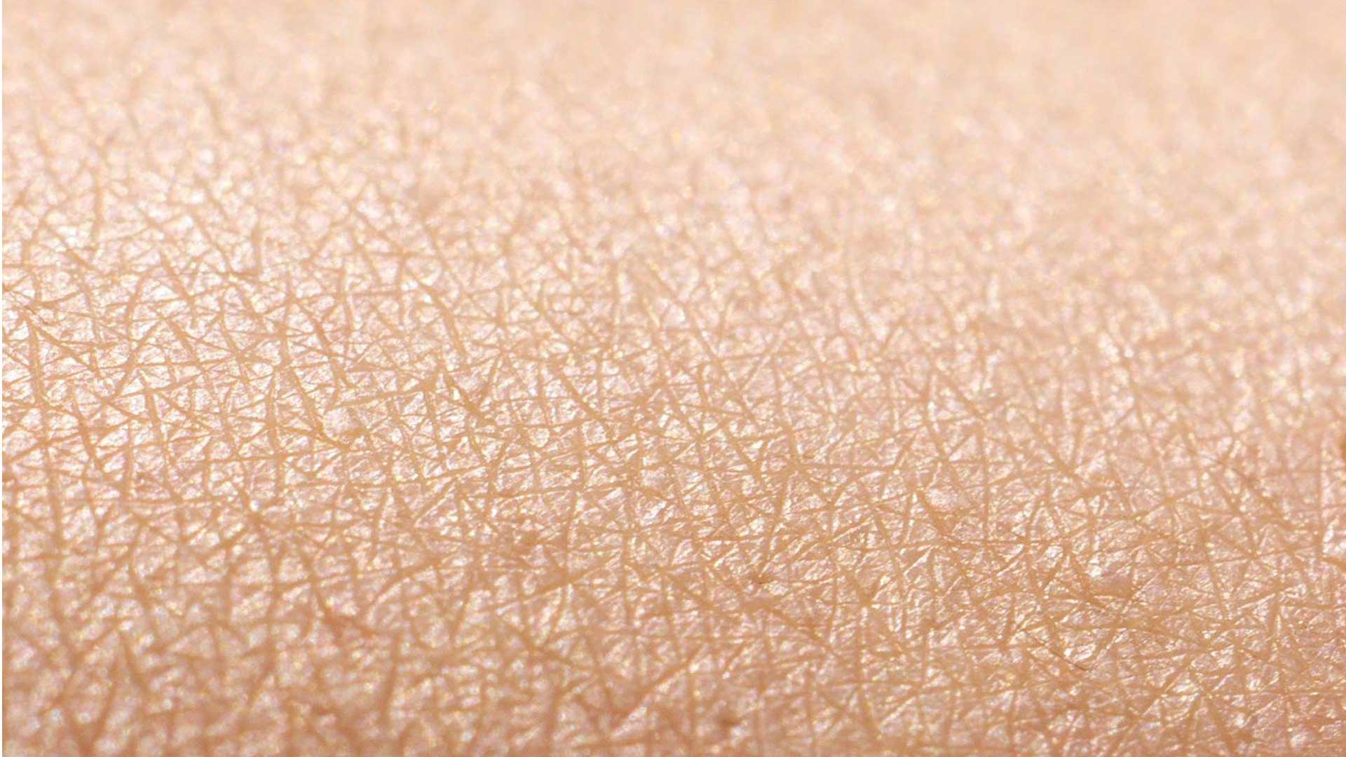 Skin