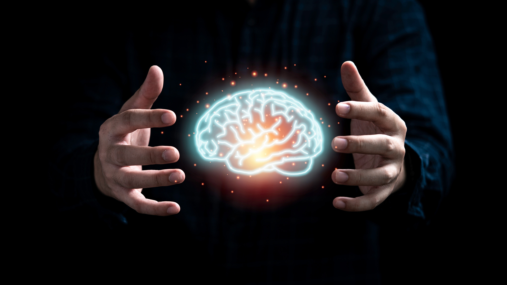 a concept image of a brain being held between two hands