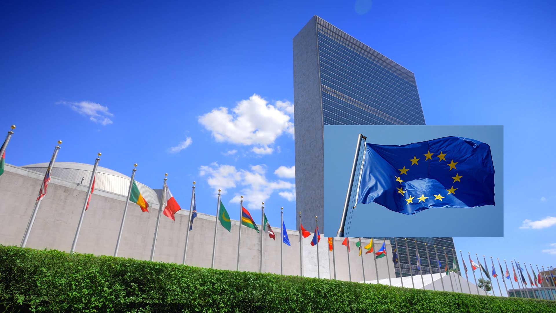 Flags of the United Nations