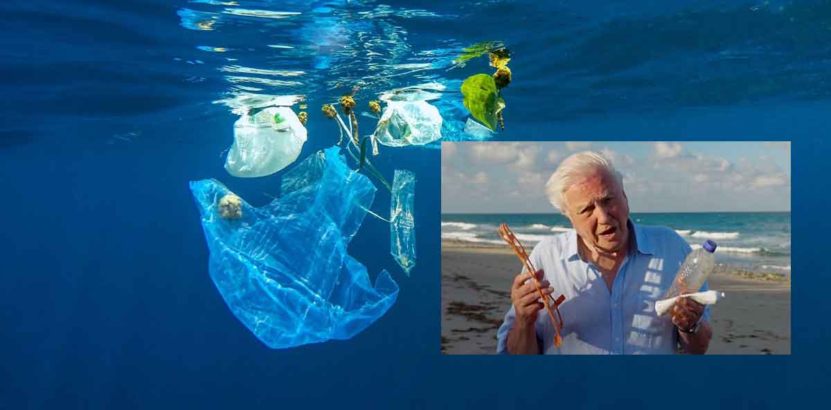 Sir David Attenborough’s Blue Planet II programme helped to put plastic pollution on the global agenda. 