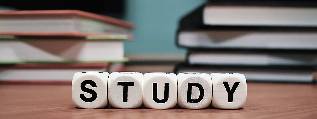 Letter cubes spelling the word study