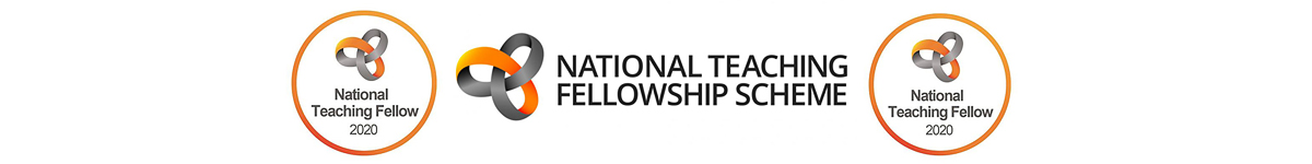 NTFS logo