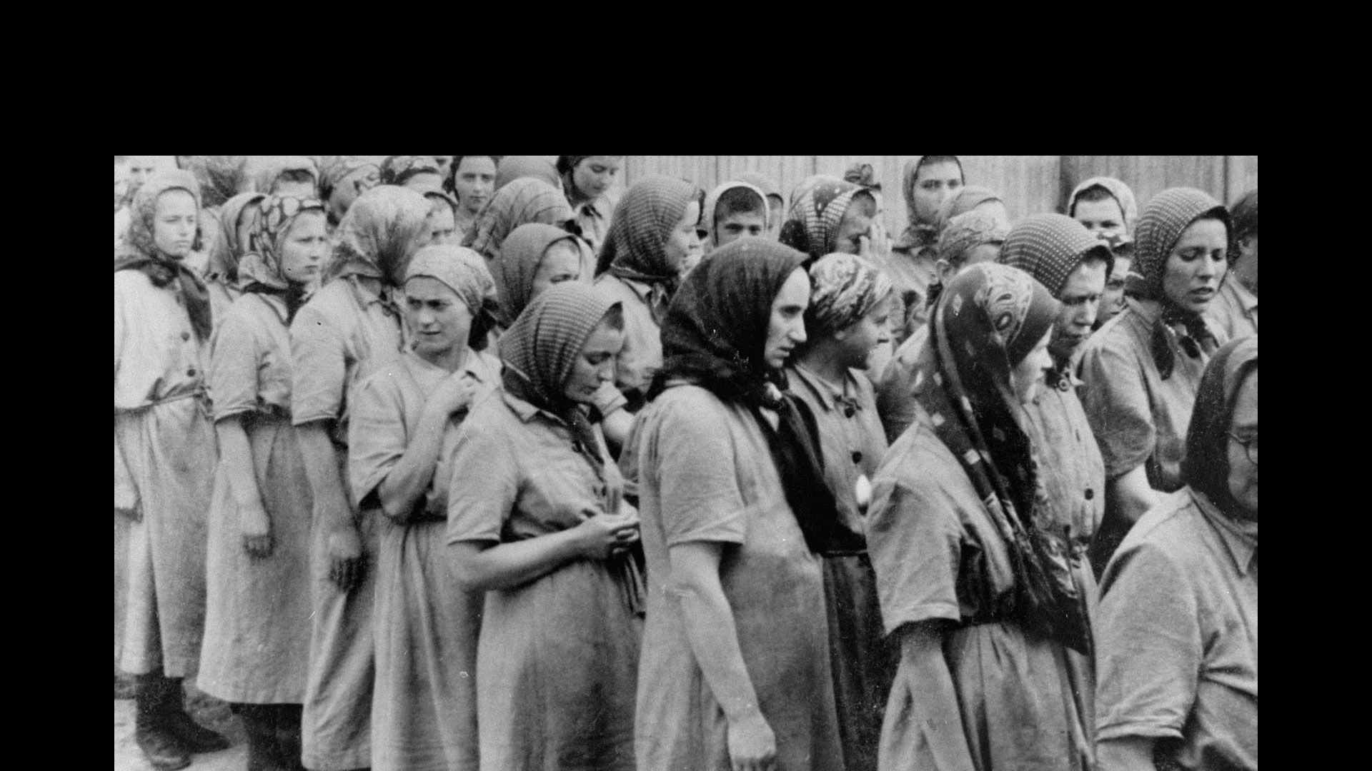 Queer desire, homophobia and the Holocaust - University of Huddersfield