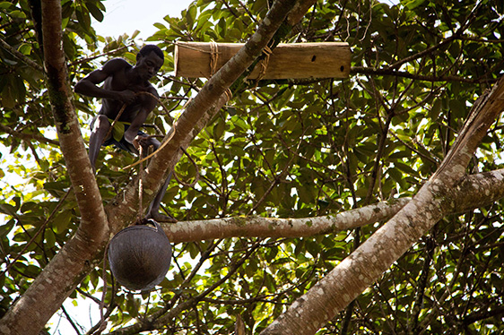 Preserving Ethiopia’s coffee and forests for a sustainable future