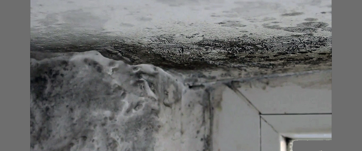 Mold and damp in the corner of a window frame