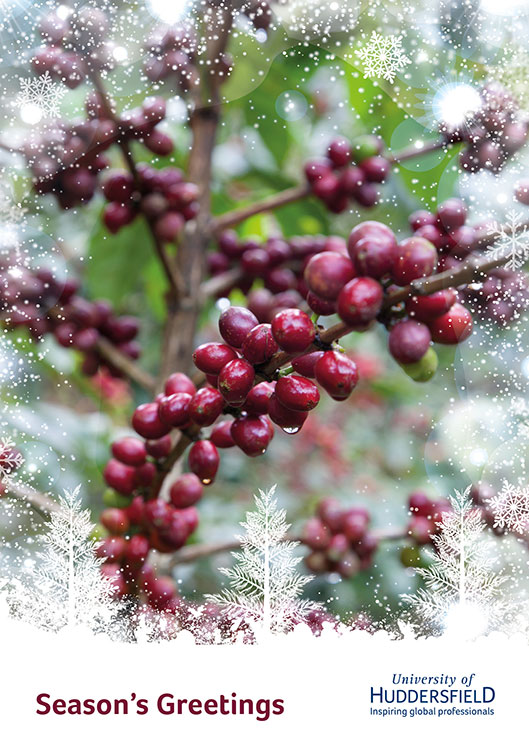Season's Greetings