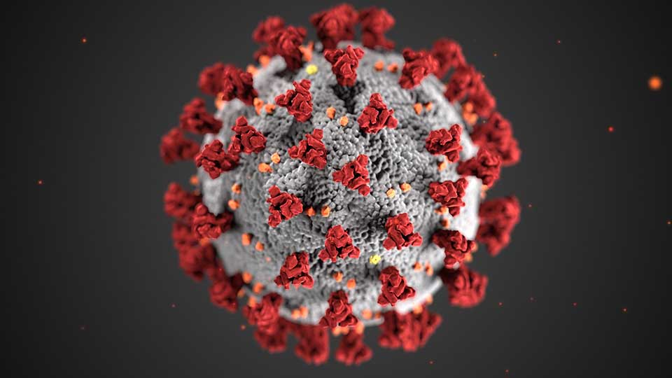 The coronavirus in close up
