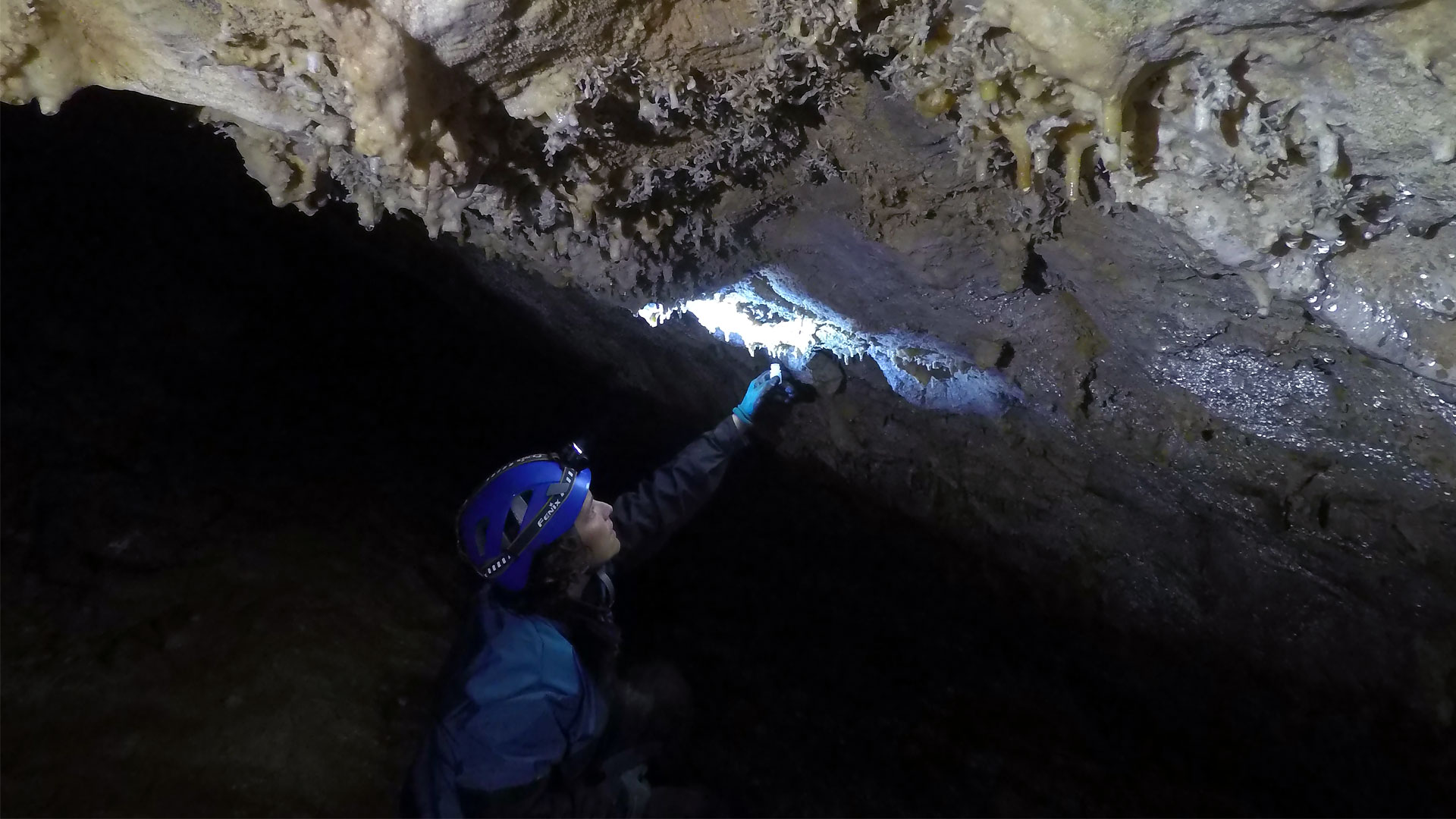 Dr Bethany Fox conducting research in a cave in New Zealand