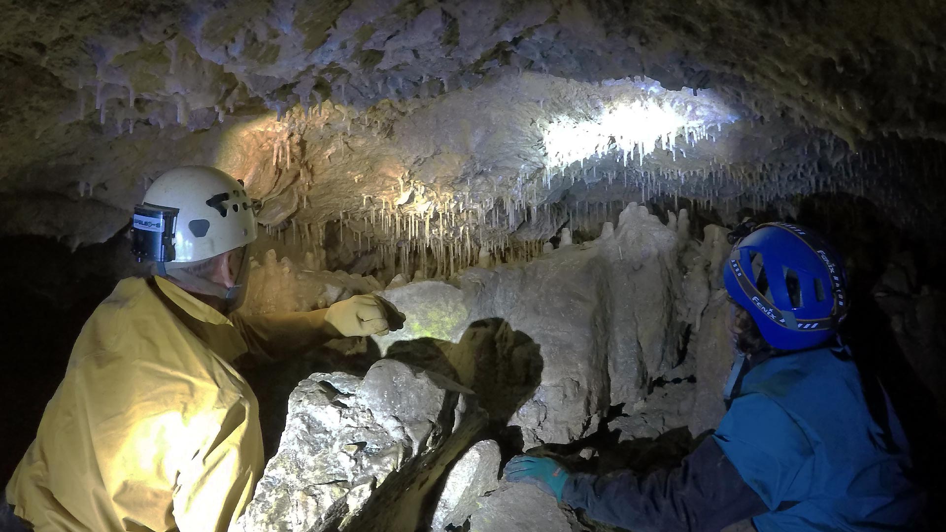 Dr Bethany Fox conducting research in a cave in New Zealand