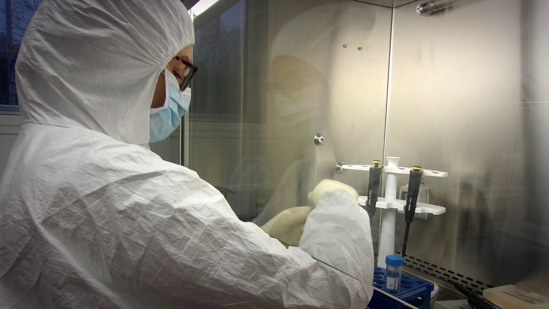 Researcher Dr Katharina Dulias using the University's ancient DNA facility
