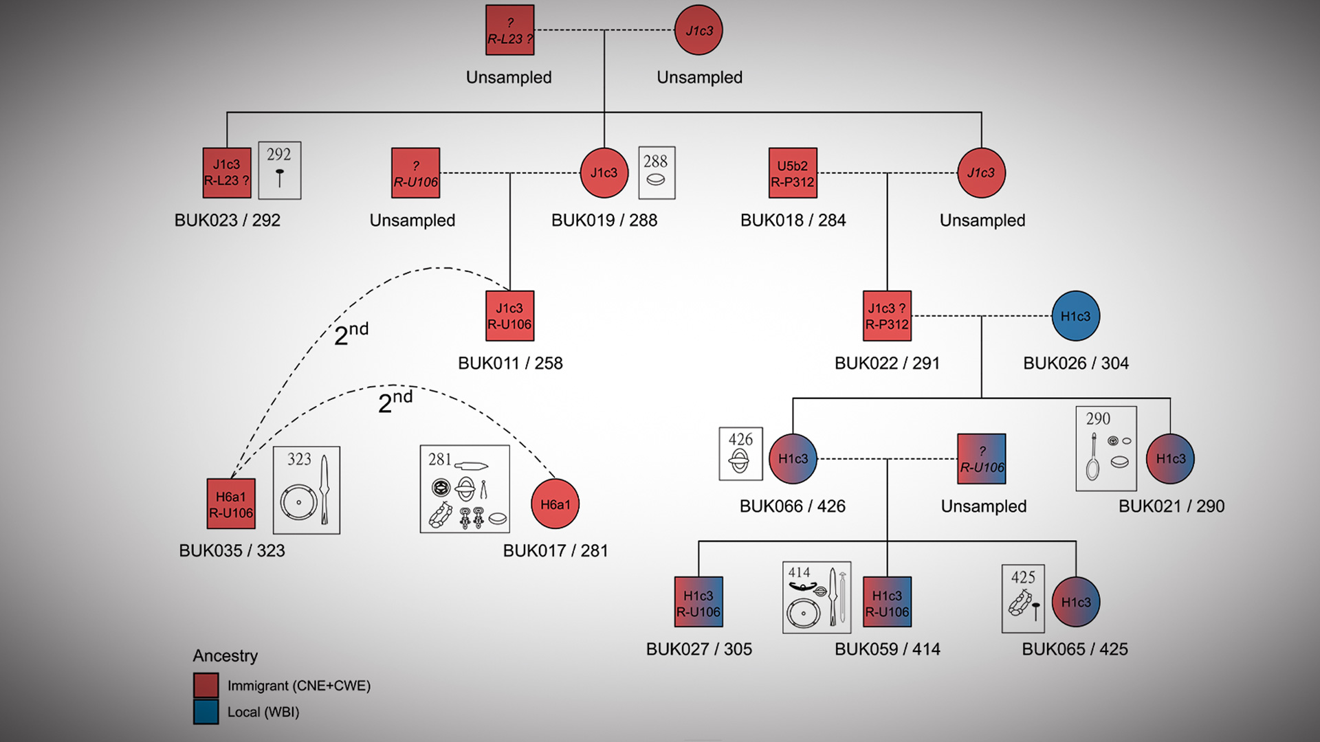 Family tree reconstruction featuring integration of local ancestry into an immigrant kin group.