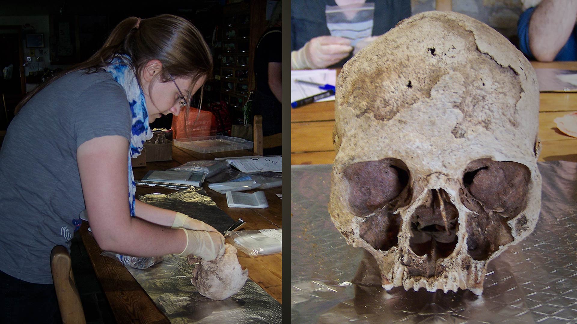 Dr Katharina Dulias examines a skull that dates back to Early Middle Ages