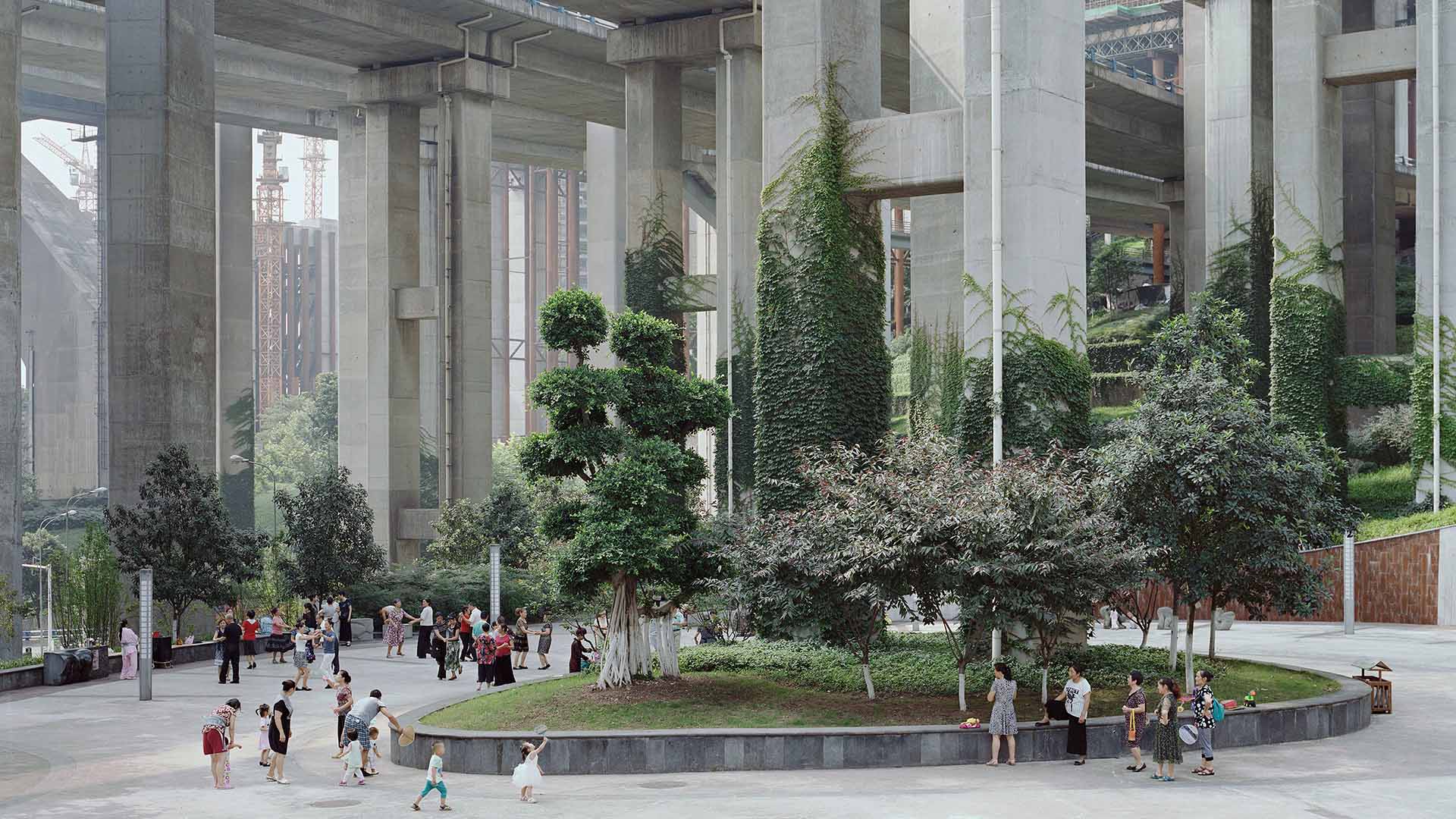 Some greenery in a park underneath a highway in China