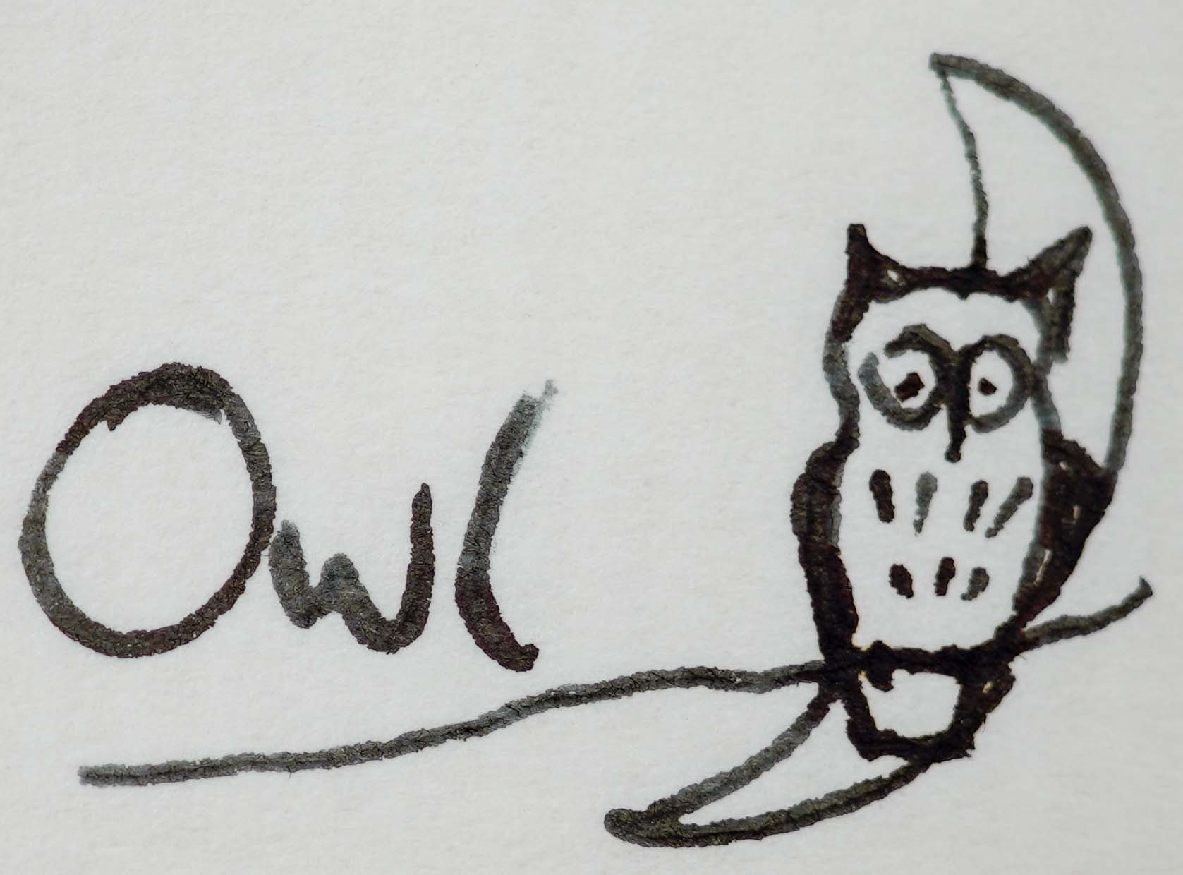 The word Owl written in ink alongside a drawing of an owl sat on the moon by Ted Hughes.