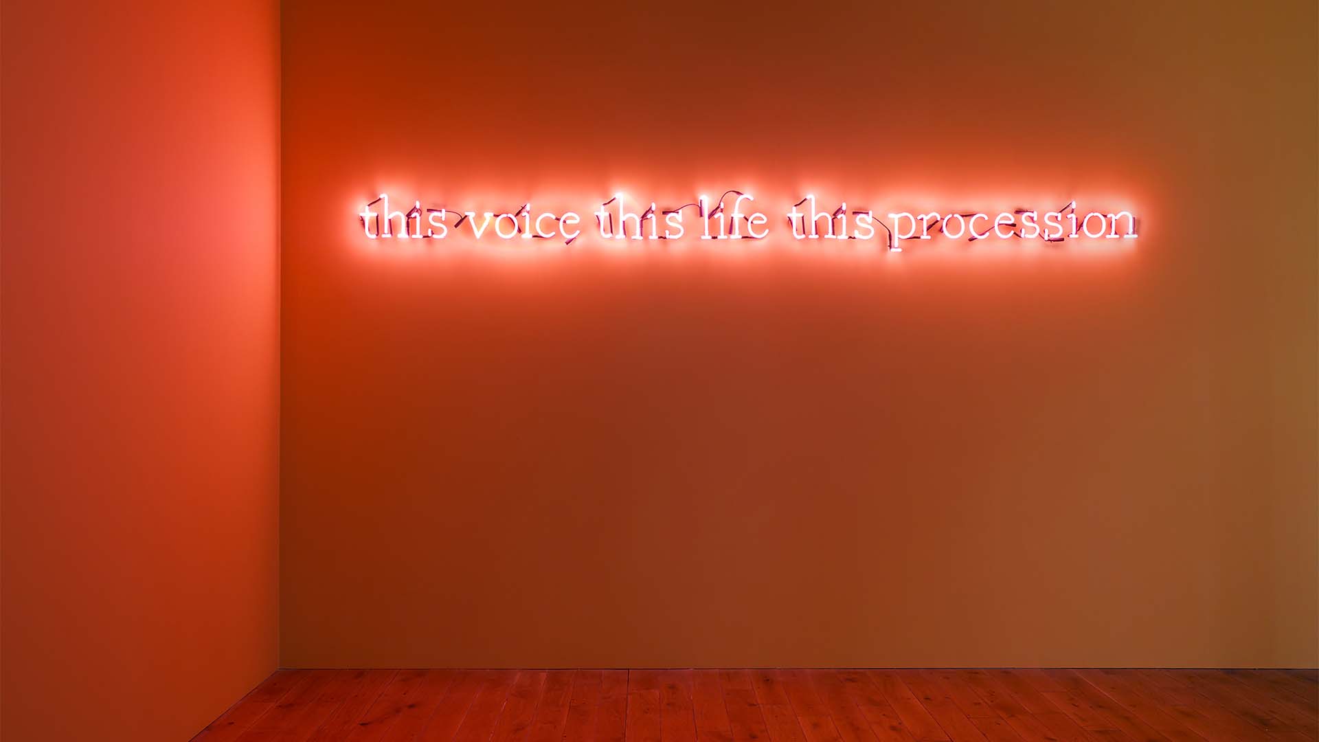 Brass art neon installation