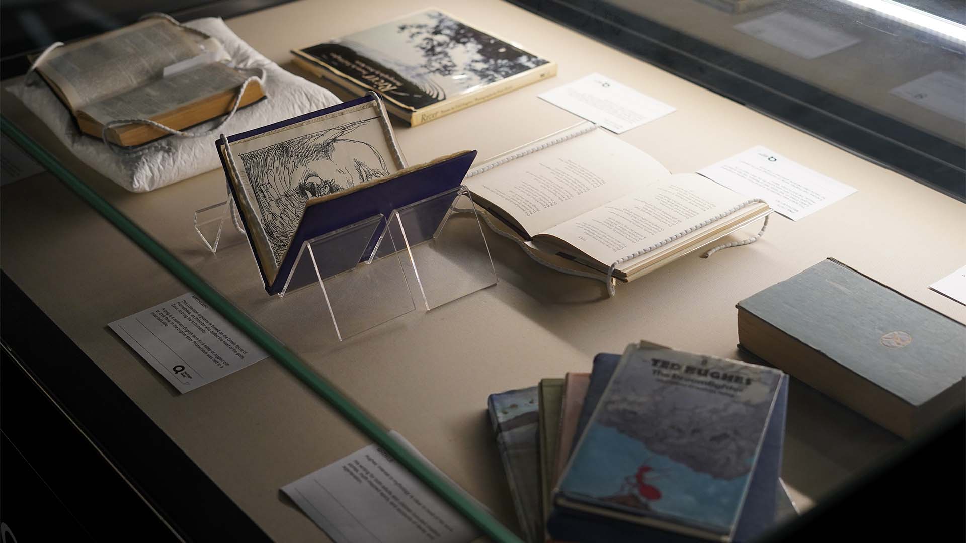 More Ted Hughes items