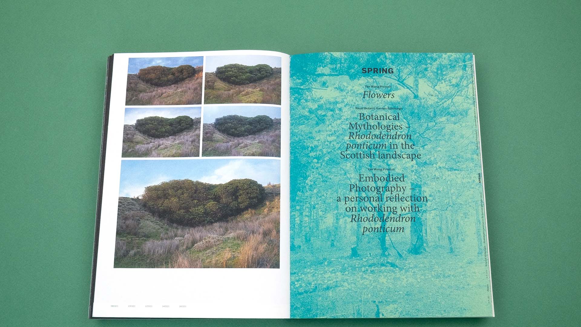 Inside Dr Yan Wang Preston's book