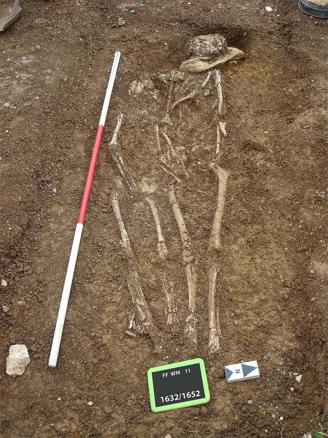human remains found in an ancient grave in Dorset