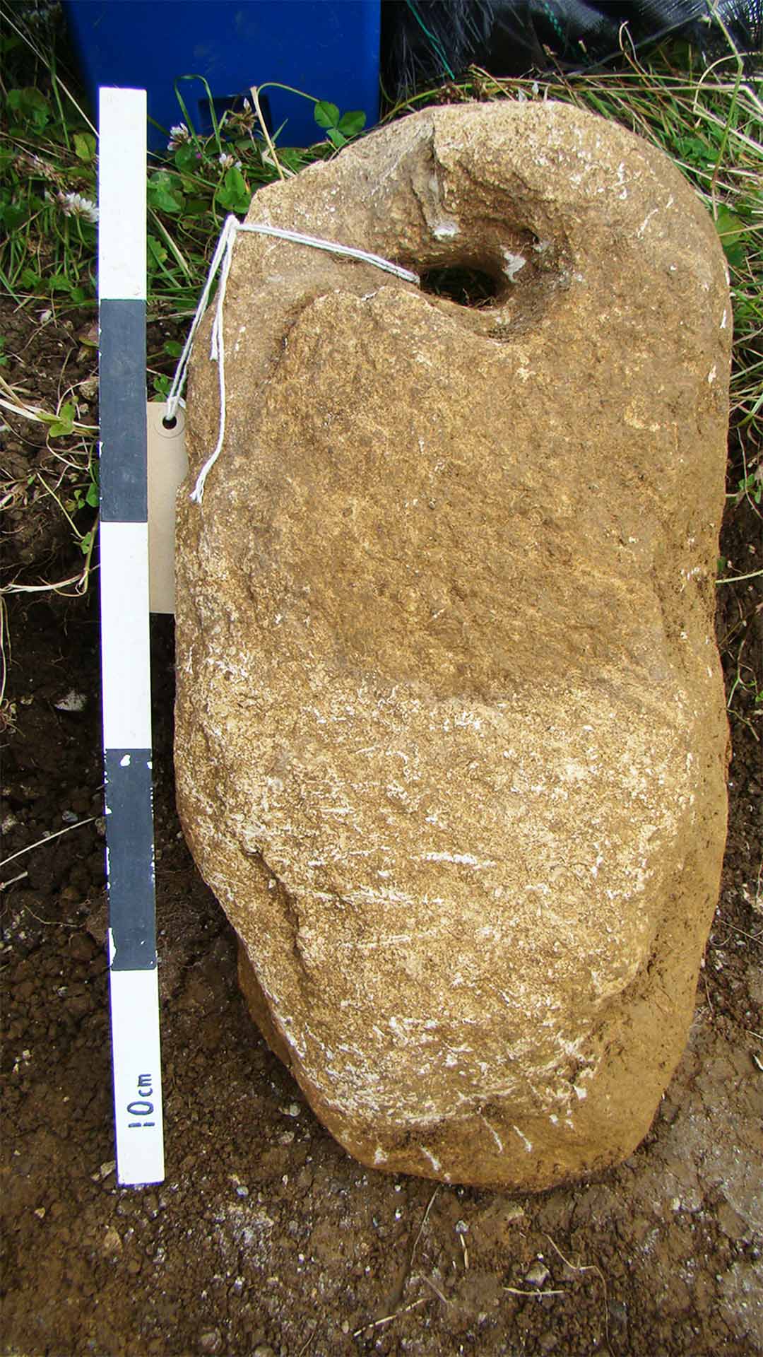 Anchor stone found underneath the head of an older individual buried at Worth Matravers in Dorset
