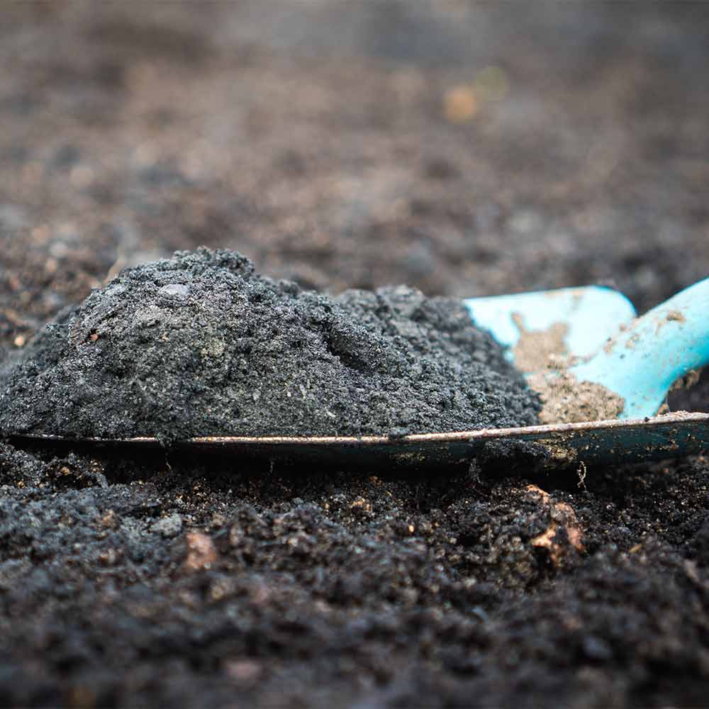biochar on a trowel