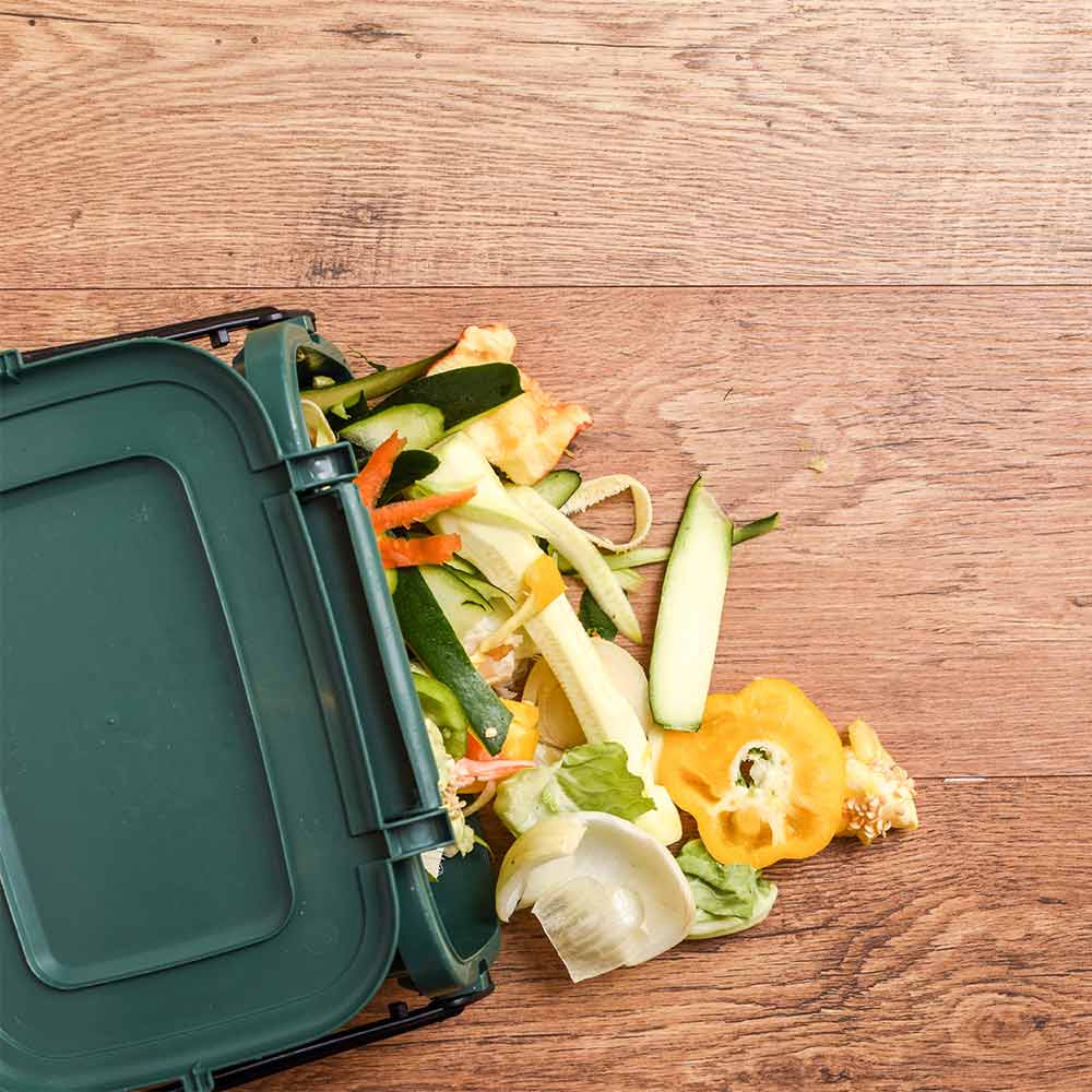 food waste and a food caddy