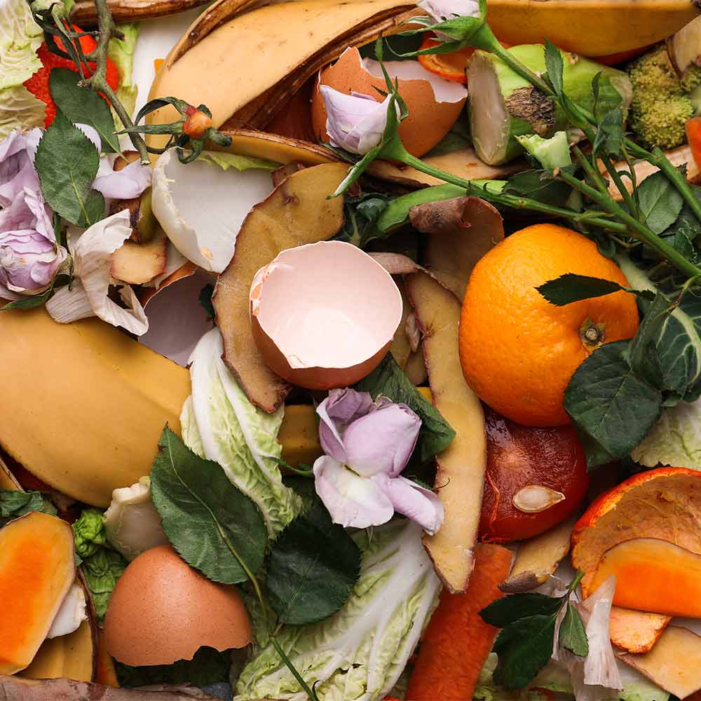 a pile of food waste