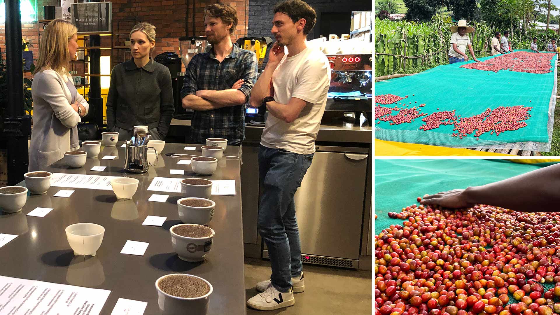 People round a table at a coffee tasting event, and people harvesting wild coffee in Ethiopia
