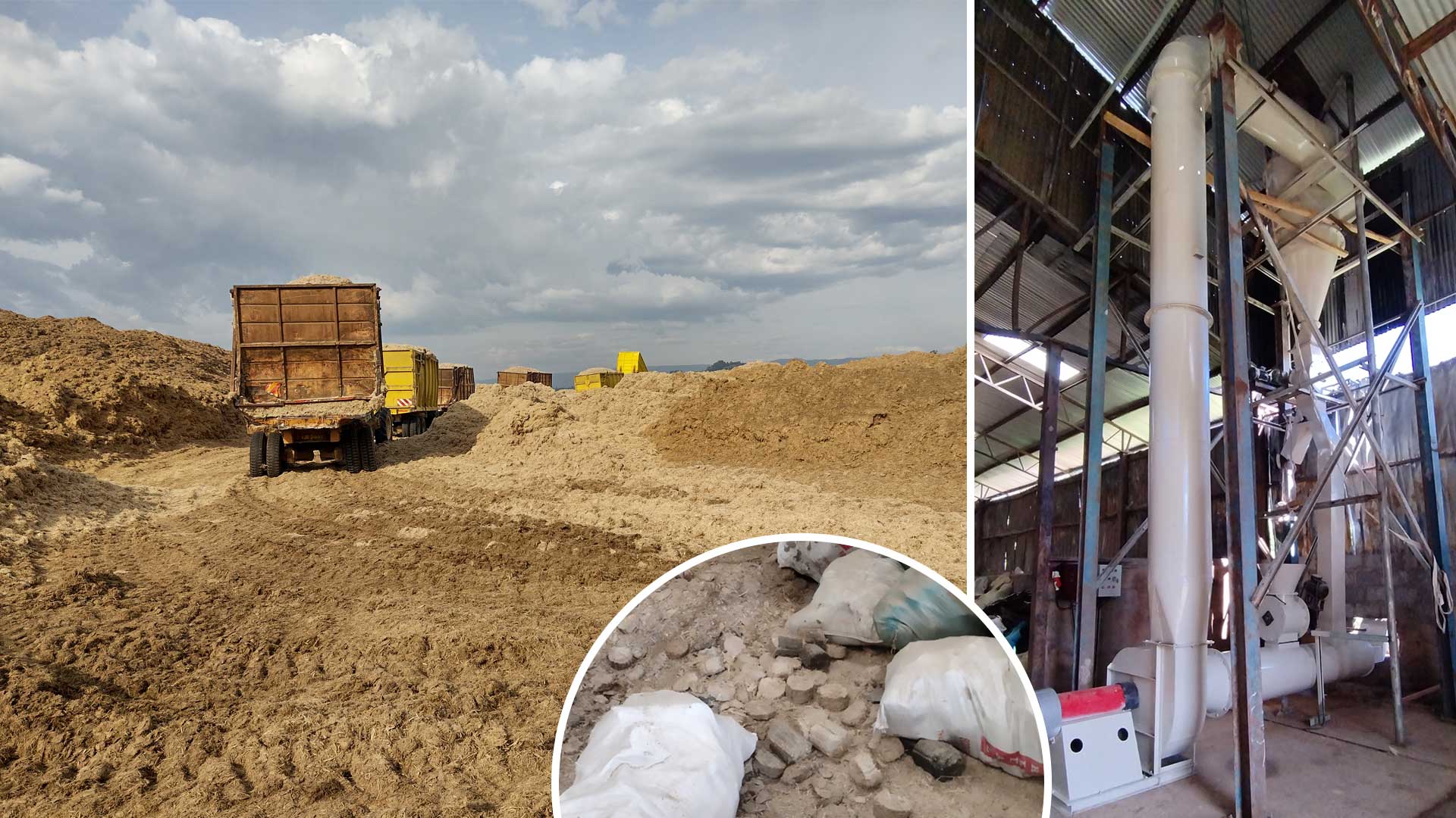collage showing sugarcane waste in a field, a prototype drying machine, and briquettes for cooking fuel