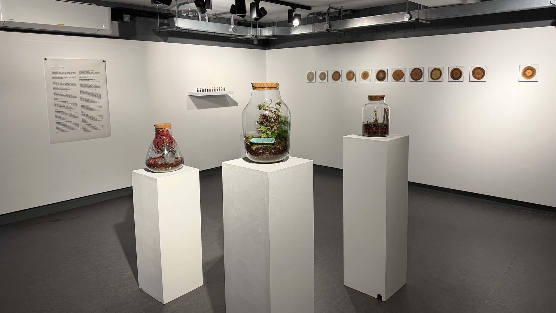 An exhibition in Sovereign Design House