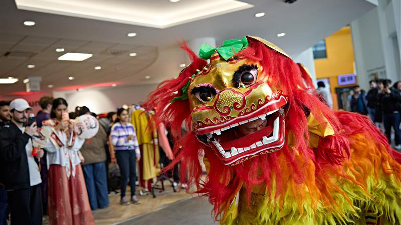 A Chinese dragon dance at University of Huddersfield