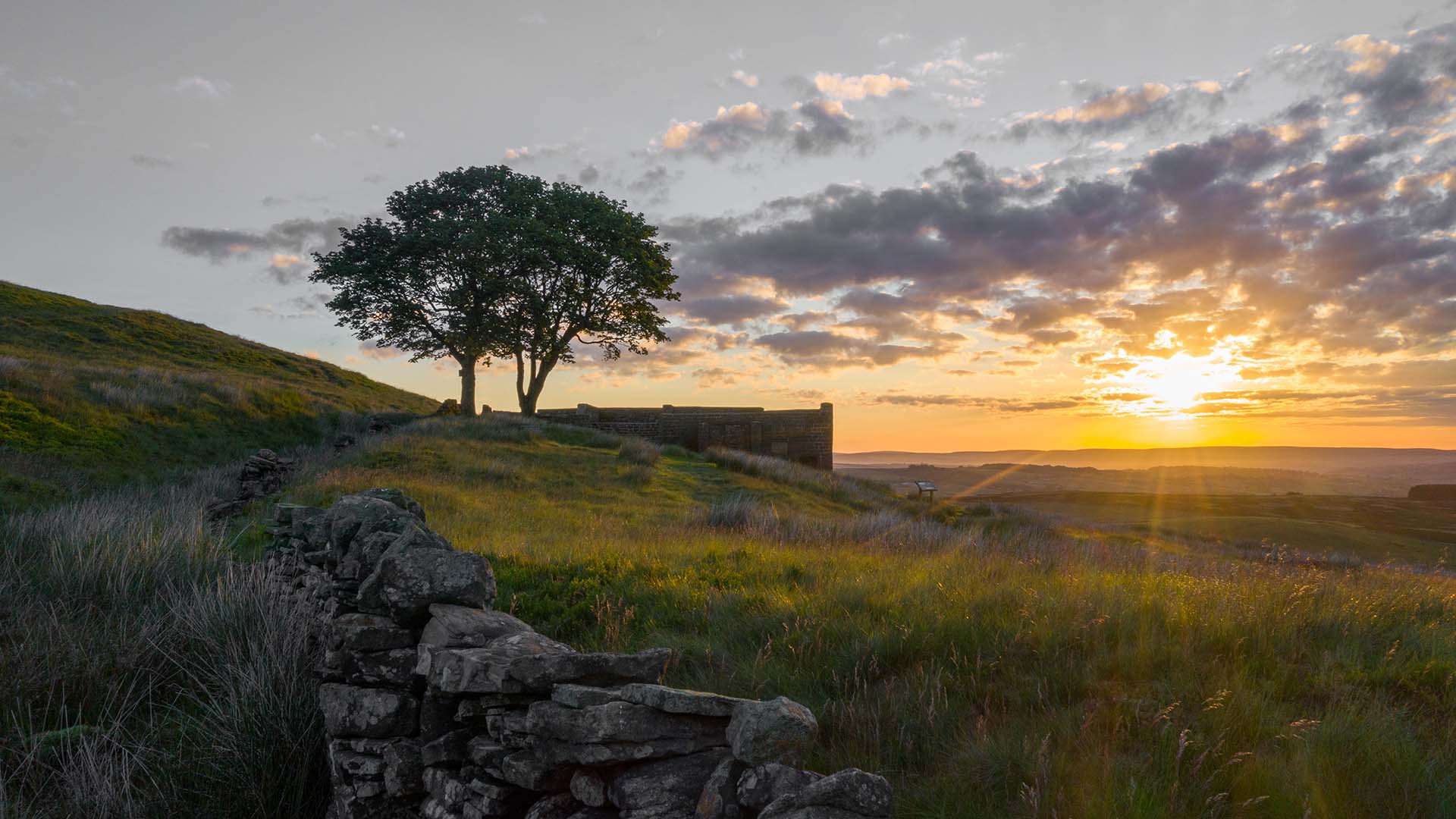 Top Withens at sunset with a tree silhouetted against the sky