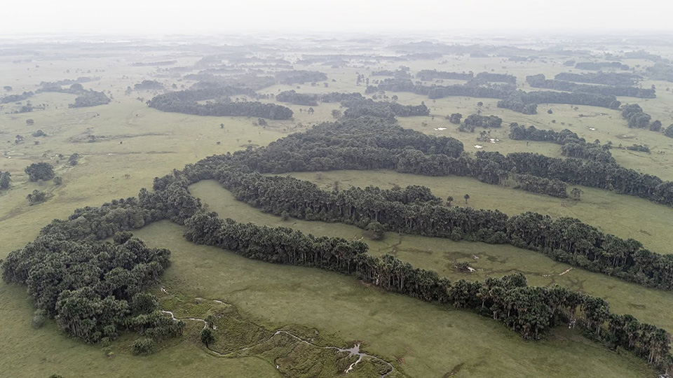 Colombian countryside from the air